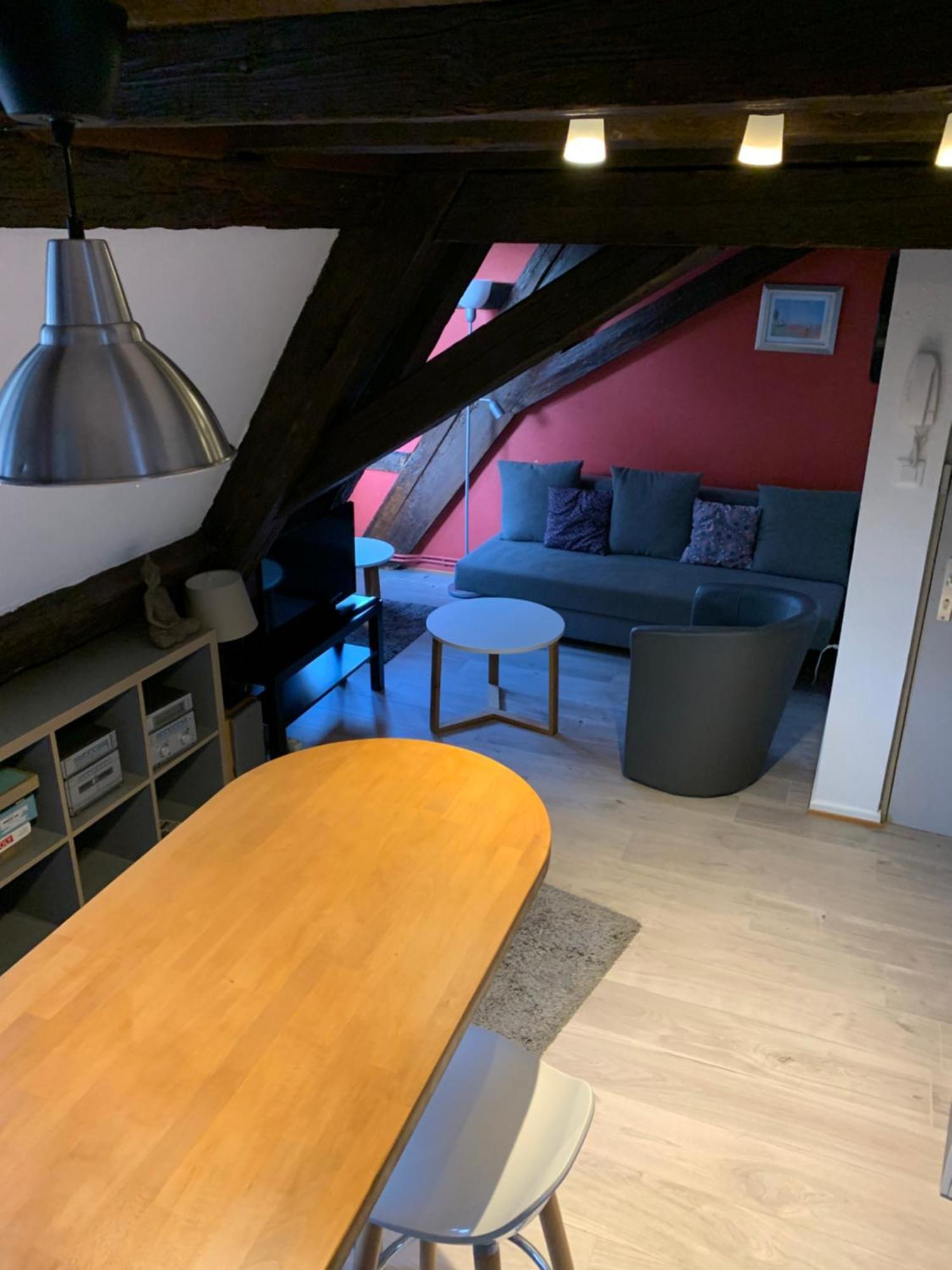 Appartement Duplex 2A Rue D'Alspach Colmar Zewnętrze zdjęcie